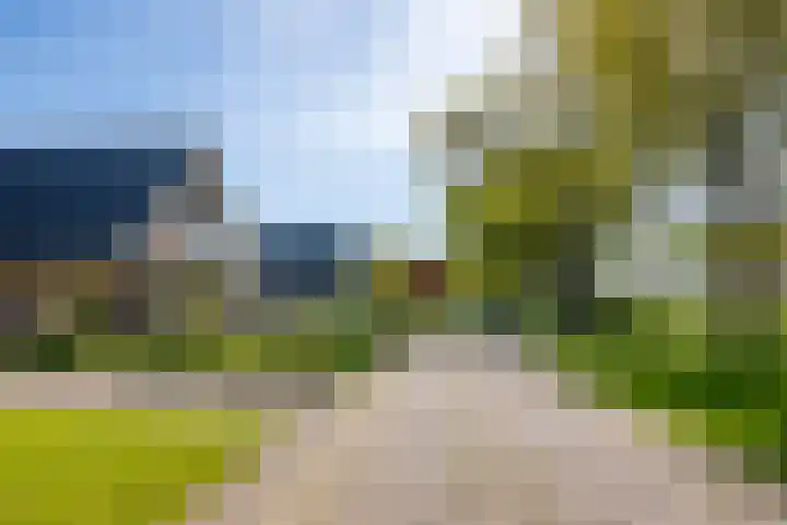Toldijk 23 Zwinderen thumbnail 11