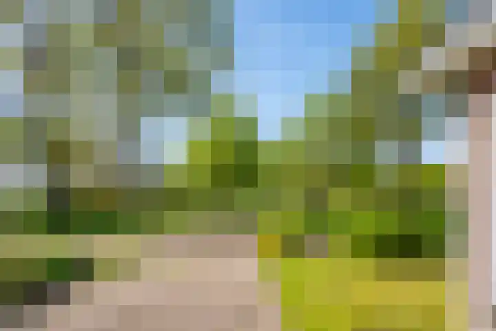 Toldijk 23 Zwinderen thumbnail 12