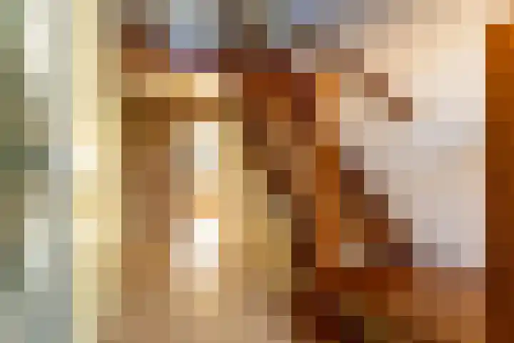 Toldijk 23 Zwinderen thumbnail 13