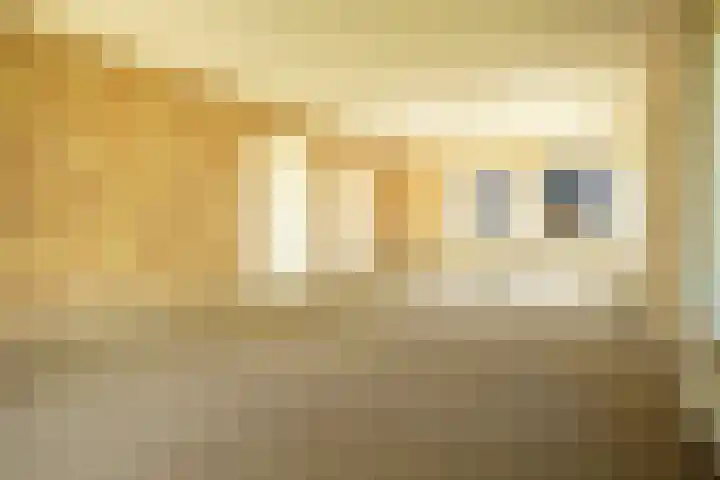 Toldijk 23 Zwinderen thumbnail 17