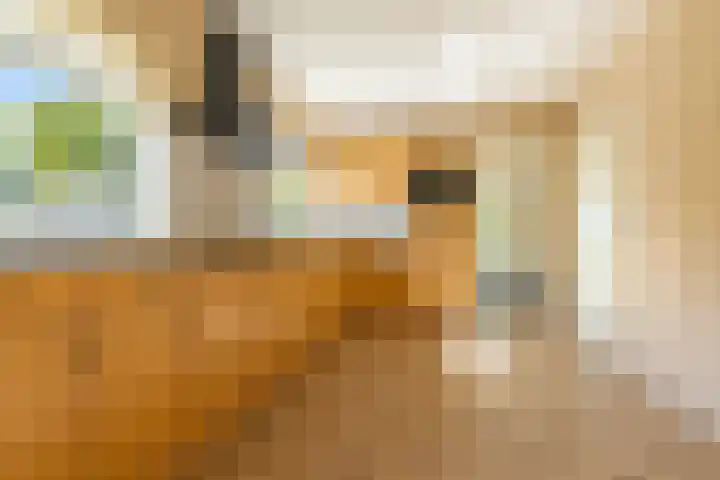 Toldijk 23 Zwinderen thumbnail 20