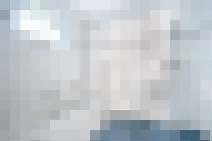 Toldijk 23 Zwinderen thumbnail 24