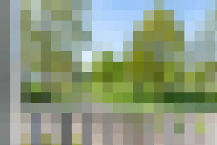 Toldijk 23 Zwinderen thumbnail 30