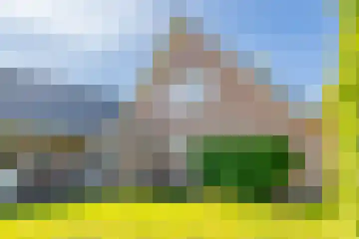 Toldijk 23 Zwinderen thumbnail 32