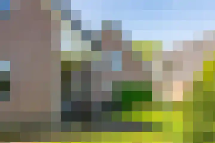 Toldijk 23 Zwinderen thumbnail 33