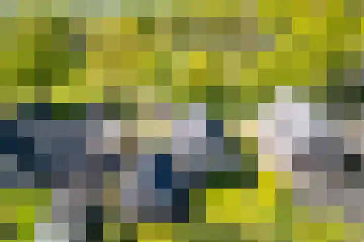 Toldijk 23 Zwinderen thumbnail 34