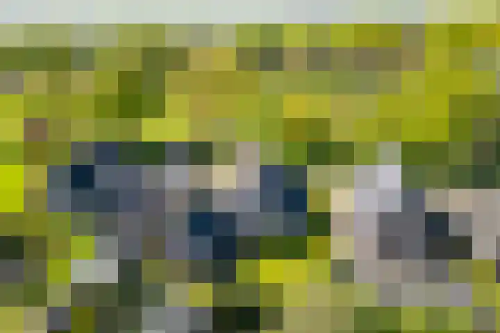 Toldijk 23 Zwinderen thumbnail 36