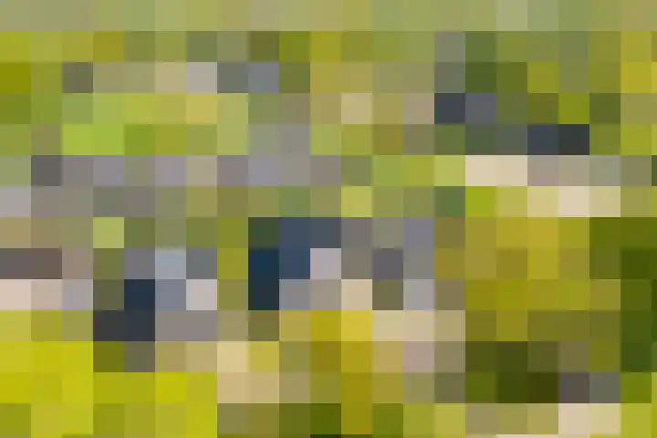 Toldijk 23 Zwinderen thumbnail 39
