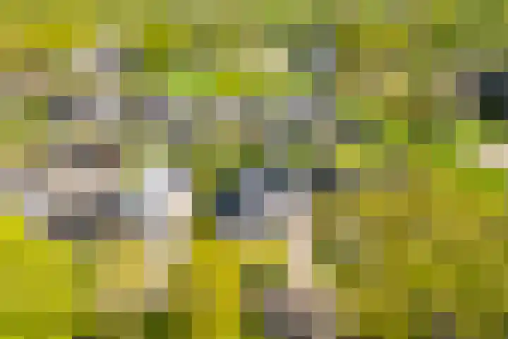 Toldijk 23 Zwinderen thumbnail 40