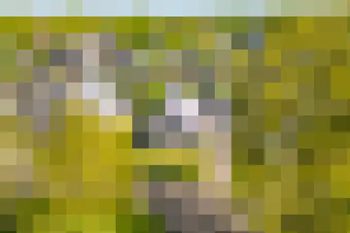 Toldijk 23 Zwinderen thumbnail 6