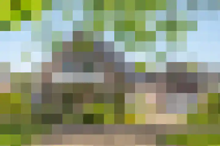 Toldijk 23 Zwinderen thumbnail 7