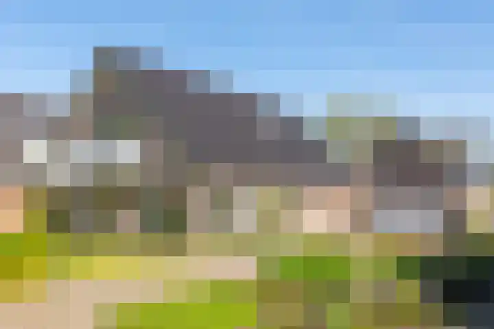 Toldijk 23 Zwinderen thumbnail 8