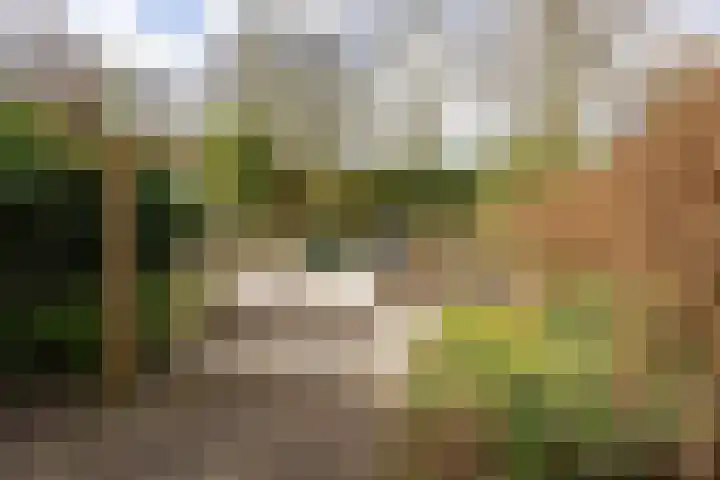 Tolick 77 Hoogland thumbnail 5