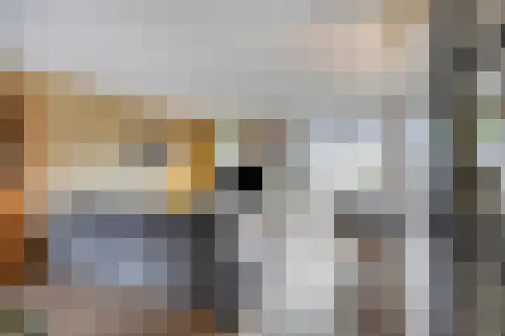 Tollekamp 53 Elst thumbnail 10