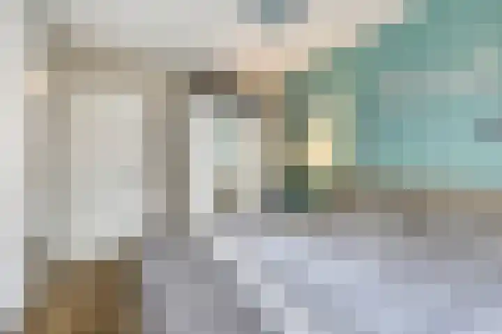 Tollekamp 53 Elst thumbnail 21