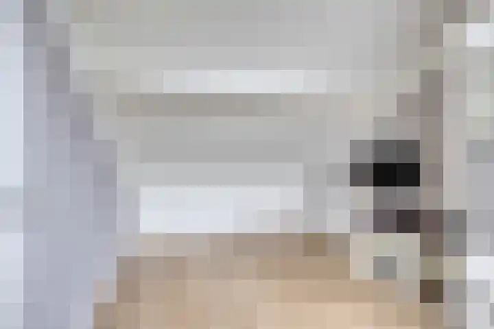 Tollekamp 53 Elst thumbnail 31