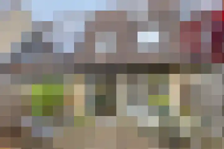 Tollekamp 53 Elst thumbnail 33