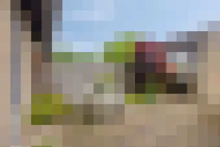 Tollekamp 53 Elst thumbnail 35