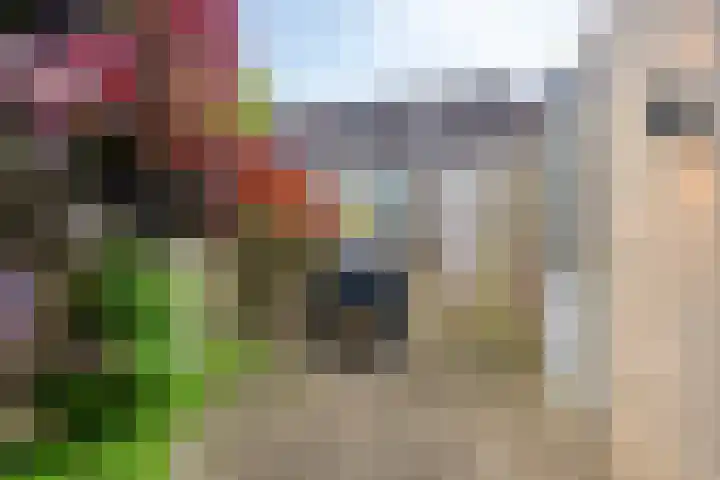 Tollekamp 53 Elst thumbnail 36