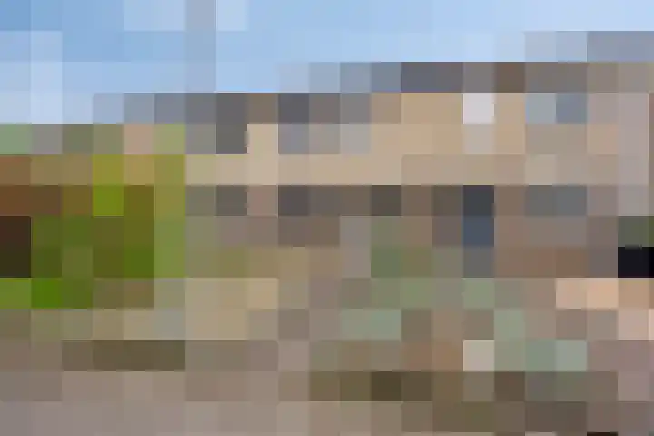 Tollekamp 53 Elst thumbnail 43