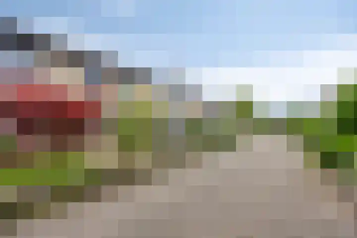 Tollekamp 53 Elst thumbnail 5