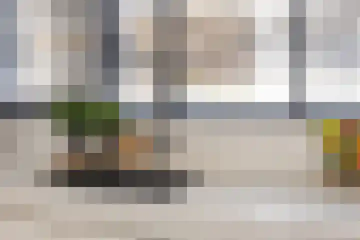 Tollensstraat 55 Oss thumbnail 10
