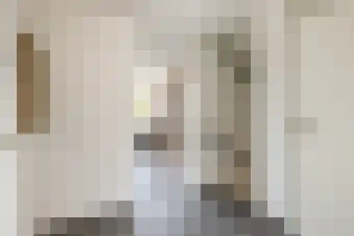 Tollensstraat 55 Oss thumbnail 13