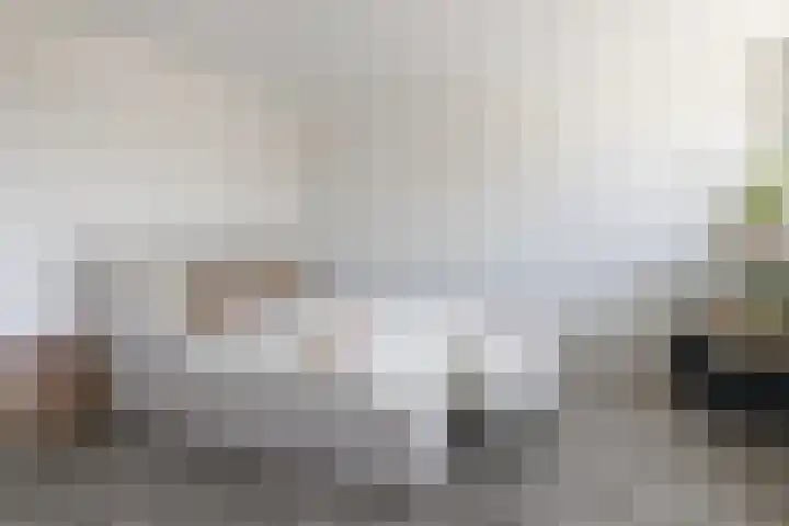 Tollensstraat 55 Oss thumbnail 15