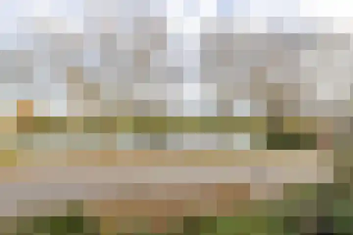 Tollensstraat 55 Oss thumbnail 20