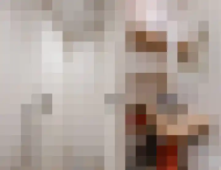 Tollensstraat 55 Oss thumbnail 22