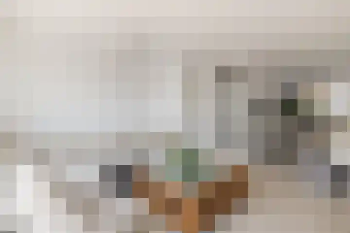 Tollensstraat 55 Oss thumbnail 4