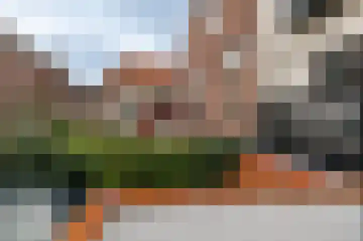Tollenstraat 37 Culemborg thumbnail 29