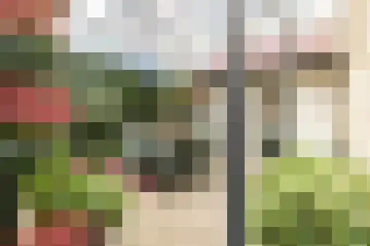 Tollenstraat 37 Culemborg thumbnail 5