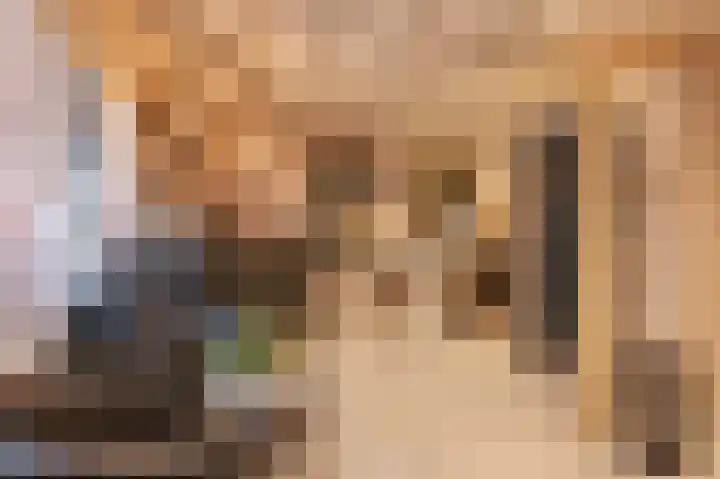 Tollenstraat 37 Culemborg thumbnail 7