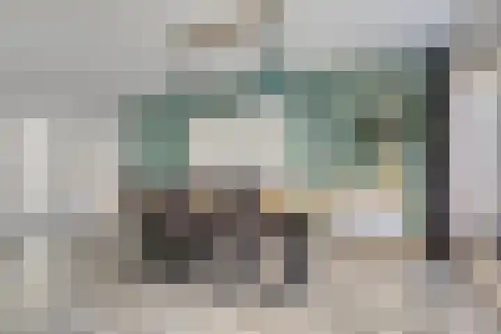 Tollewei 46 Heeg thumbnail 10