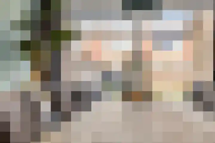 Tollewei 46 Heeg thumbnail 11