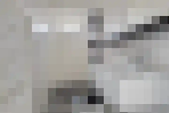 Tollewei 46 Heeg thumbnail 20
