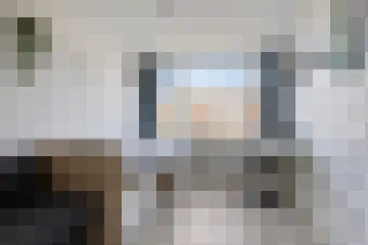 Tollewei 46 Heeg thumbnail 23