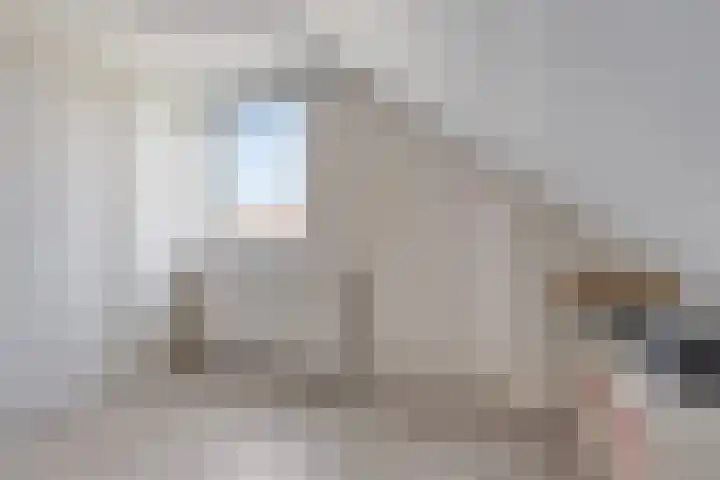 Tollewei 46 Heeg thumbnail 26