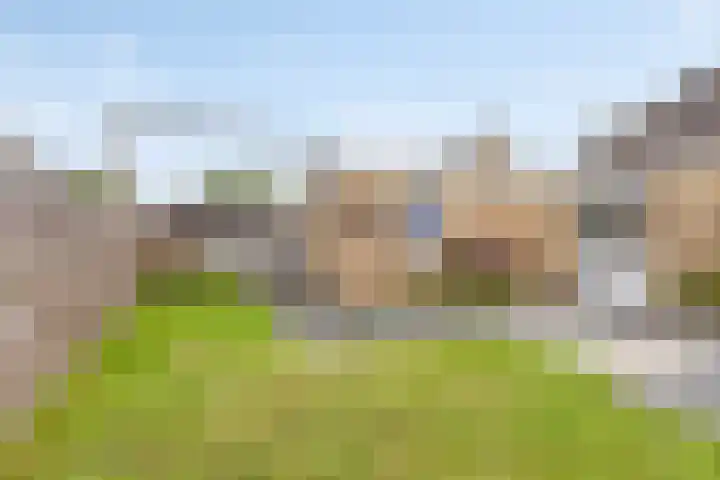 Tollewei 46 Heeg thumbnail 31