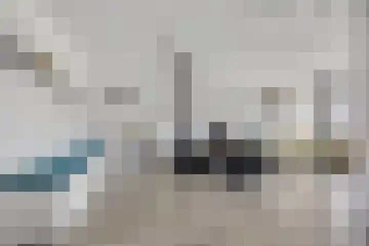 Tollewei 46 Heeg thumbnail 4