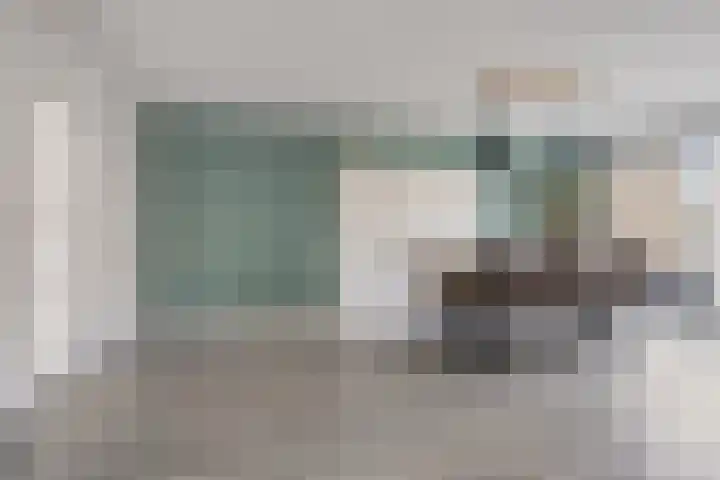 Tollewei 46 Heeg thumbnail 8