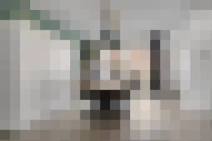 Tollewei 46 Heeg thumbnail 9
