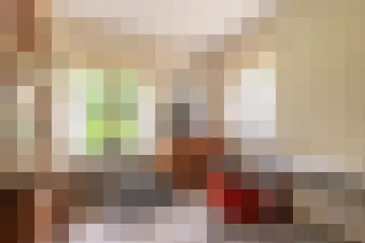 Tolnegenweg 19 Stroe thumbnail 32