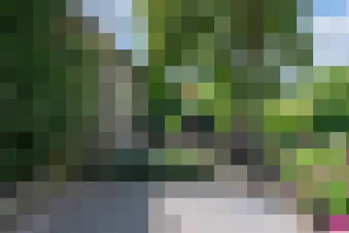 Tolnegenweg 19 Stroe thumbnail 43