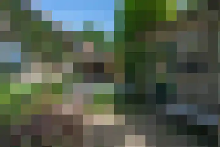 Tolnegenweg 19 Stroe thumbnail 44
