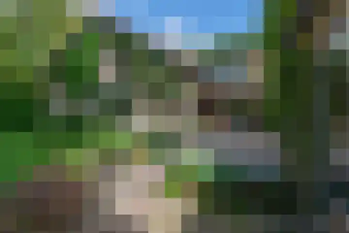 Tolnegenweg 19 Stroe thumbnail 45