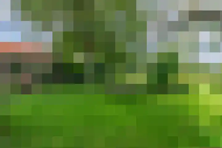 Tolnegenweg 19 Stroe thumbnail 48