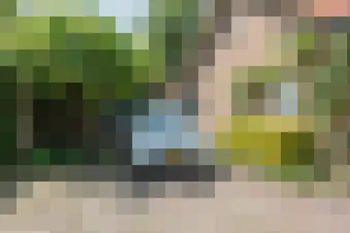 Tolnegenweg 19 Stroe thumbnail 5