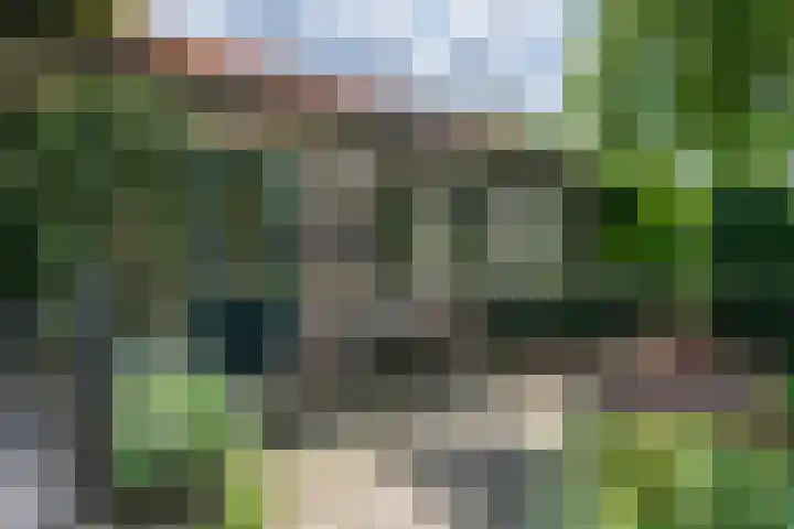Tolnegenweg 19 Stroe thumbnail 52